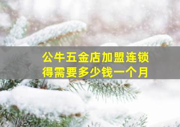 公牛五金店加盟连锁得需要多少钱一个月