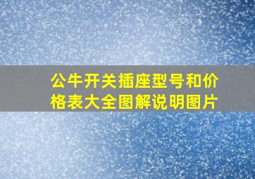 公牛开关插座型号和价格表大全图解说明图片