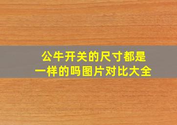 公牛开关的尺寸都是一样的吗图片对比大全