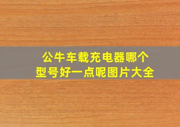 公牛车载充电器哪个型号好一点呢图片大全