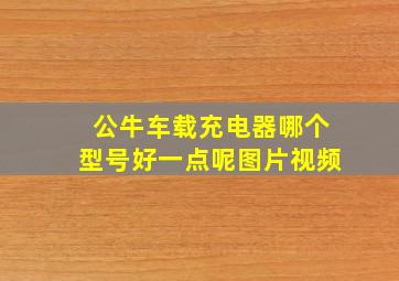 公牛车载充电器哪个型号好一点呢图片视频