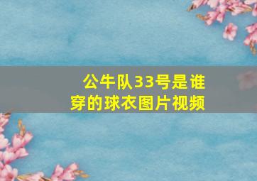 公牛队33号是谁穿的球衣图片视频