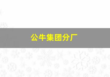 公牛集团分厂