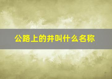 公路上的井叫什么名称