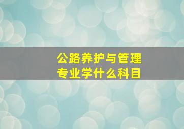 公路养护与管理专业学什么科目