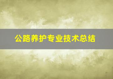 公路养护专业技术总结