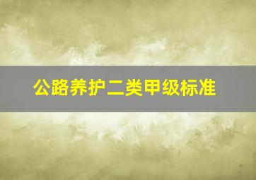 公路养护二类甲级标准