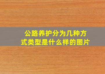 公路养护分为几种方式类型是什么样的图片