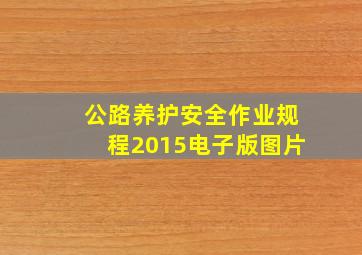 公路养护安全作业规程2015电子版图片