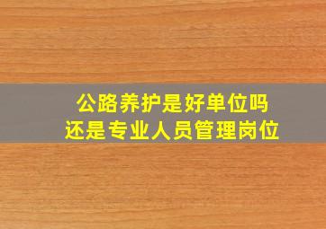 公路养护是好单位吗还是专业人员管理岗位