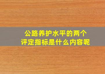 公路养护水平的两个评定指标是什么内容呢