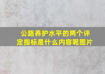 公路养护水平的两个评定指标是什么内容呢图片