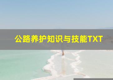 公路养护知识与技能TXT