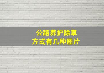 公路养护除草方式有几种图片