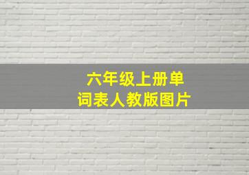 六年级上册单词表人教版图片