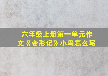 六年级上册第一单元作文《变形记》小鸟怎么写