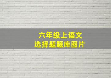 六年级上语文选择题题库图片