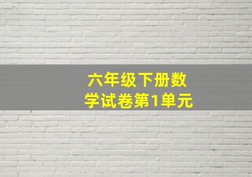 六年级下册数学试卷第1单元