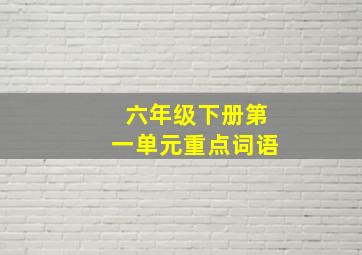 六年级下册第一单元重点词语