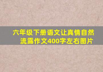 六年级下册语文让真情自然流露作文400字左右图片