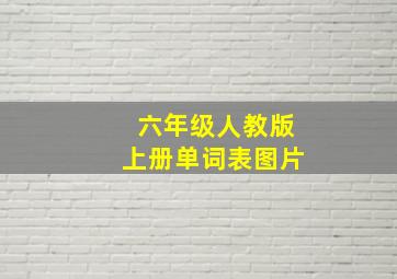 六年级人教版上册单词表图片