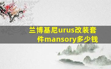 兰博基尼urus改装套件mansory多少钱