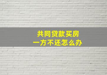 共同贷款买房一方不还怎么办