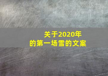 关于2020年的第一场雪的文案