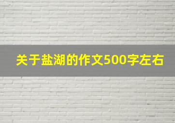 关于盐湖的作文500字左右