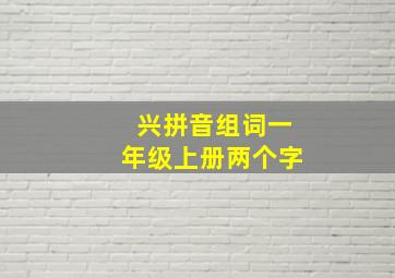 兴拼音组词一年级上册两个字