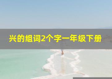 兴的组词2个字一年级下册