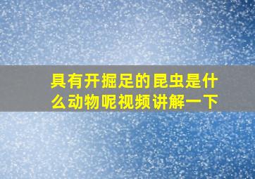 具有开掘足的昆虫是什么动物呢视频讲解一下