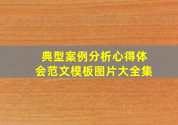 典型案例分析心得体会范文模板图片大全集