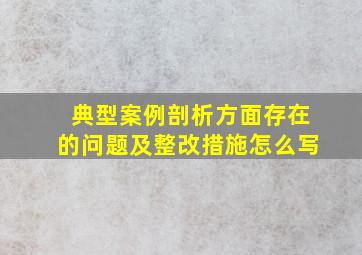 典型案例剖析方面存在的问题及整改措施怎么写