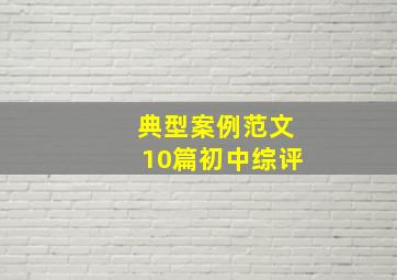 典型案例范文10篇初中综评