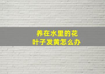 养在水里的花叶子发黄怎么办