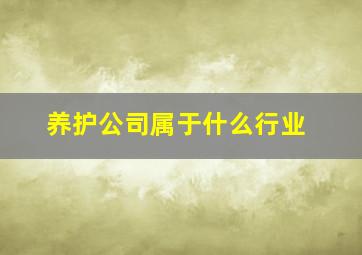 养护公司属于什么行业