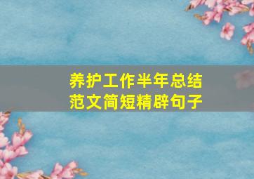 养护工作半年总结范文简短精辟句子