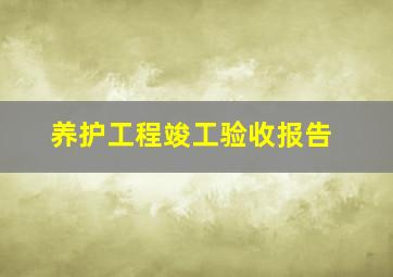 养护工程竣工验收报告