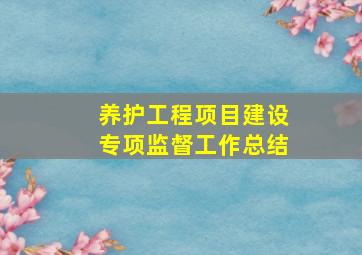 养护工程项目建设专项监督工作总结