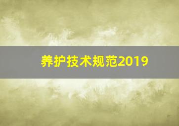 养护技术规范2019