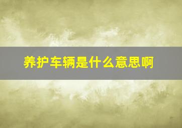 养护车辆是什么意思啊