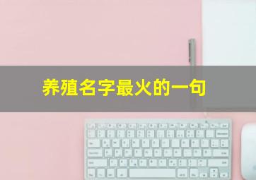 养殖名字最火的一句