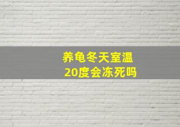 养龟冬天室温20度会冻死吗