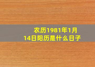 农历1981年1月14日阳历是什么日子