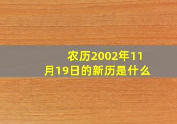 农历2002年11月19日的新历是什么