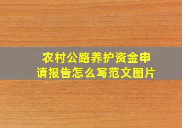 农村公路养护资金申请报告怎么写范文图片