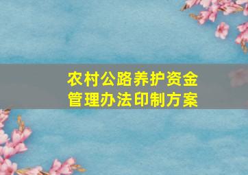 农村公路养护资金管理办法印制方案