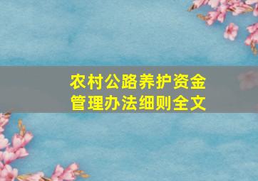 农村公路养护资金管理办法细则全文