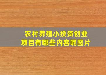 农村养殖小投资创业项目有哪些内容呢图片